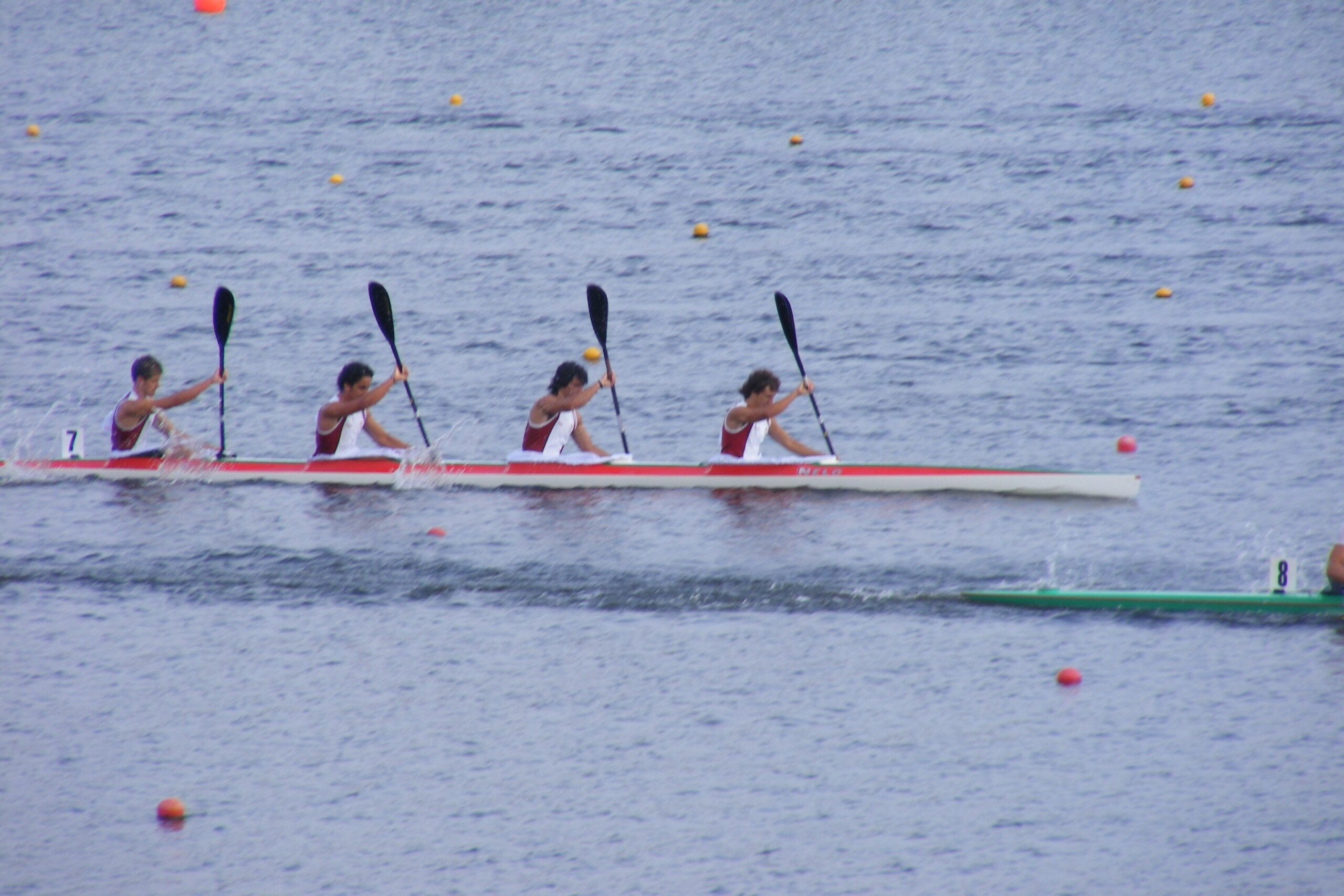 4_Marcio Mesquita e Rui Silva_2009